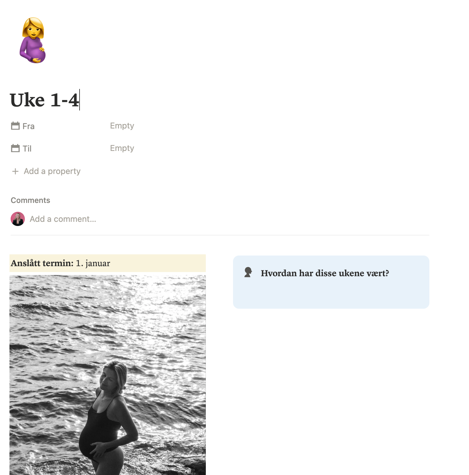 Svangerskap-template | Notion